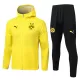Borussia Dortmund Casaco Capuz Treino 25/26 Amarelo