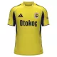 Camisolas Fenerbahce Equipamento Alternativo 25/26