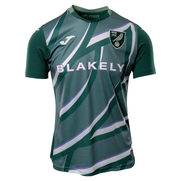Camisolas Norwich City Equipamento Alternativo 25/26