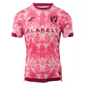 Camisolas Norwich City Equipamento Terceiro 25/26