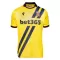 Camisolas Stoke City Equipamento Terceiro 25/26