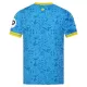 Camisolas Wolverhampton Wanderers Equipamento Terceiro 25/26