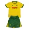 Camisolas FC Nantes Criança Equipamento Principal 25/26