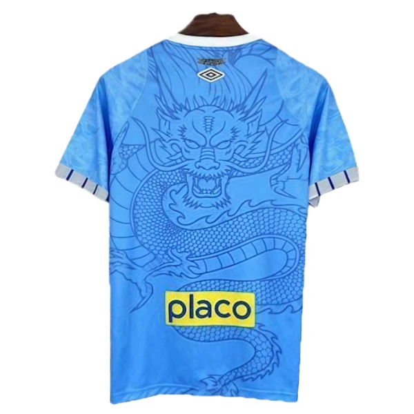 Camisolas Santos FC 25/26 Dragon Azul