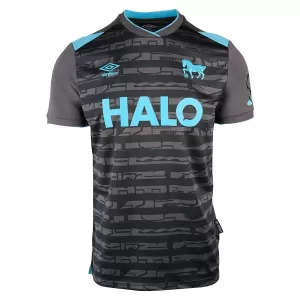 Camisolas Ipswich Town Equipamento Terceiro 25/26