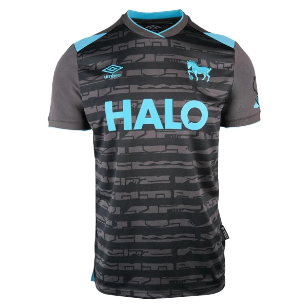 Camisolas Ipswich Town Equipamento Terceiro 25/26