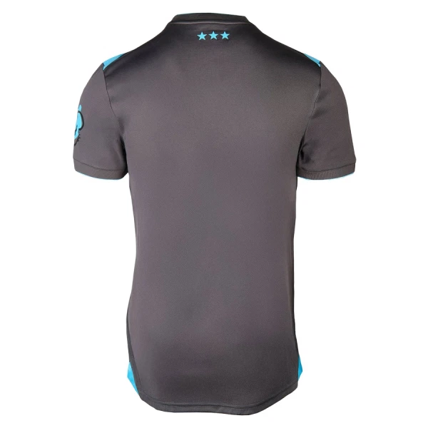 Camisolas Ipswich Town Equipamento Terceiro 25/26