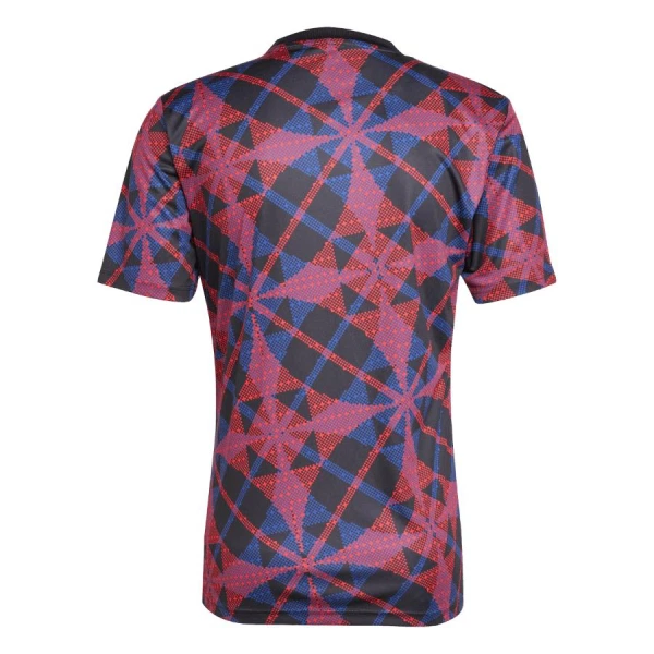 Camisolas Olympique Lyonnais Pre-Match 25/26