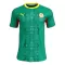Camisolas Senegal Equipamento Alternativo Mundial 2026