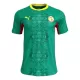 Camisolas Senegal Equipamento Alternativo Mundial 2026