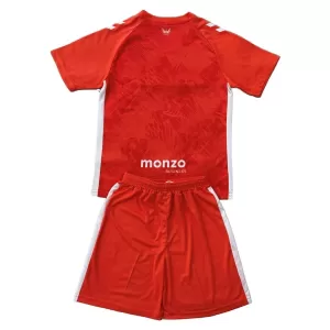 Camisolas Coventry City Criança Equipamento Alternativo 25/26