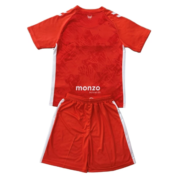 Camisolas Coventry City Criança Equipamento Alternativo 25/26