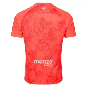 Camisolas Coventry City Equipamento Alternativo 25/26