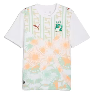 Camisolas Costa do Marfim Equipamento Alternativo Mundial 2026