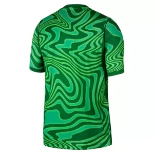 Camisolas Guarda Redes Brasil Equipamento Principal Mundial 2026 Verde