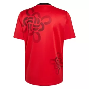 Camisolas Manchester United Cultural Story 25/26 Especial