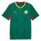 Camisolas Senegal Equipamento Alternativo Mundial 2026