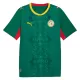 Camisolas Senegal Equipamento Alternativo Mundial 2026