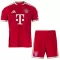 Camisolas FC Bayern de Munique Criança Equipamento Principal 26/27