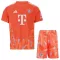 Camisolas Guarda Redes FC Bayern de Munique Criança Equipamento Alternativo 26/27