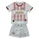 Camisolas PSV Eindhoven Criança Equipamento 4ª 25/26 Especial Camisolas PSV Eindhoven Criança Equipamento 4ª 25/26 Especial
