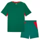 Camisolas Senegal Criança Equipamento Alternativo Mundial 2026