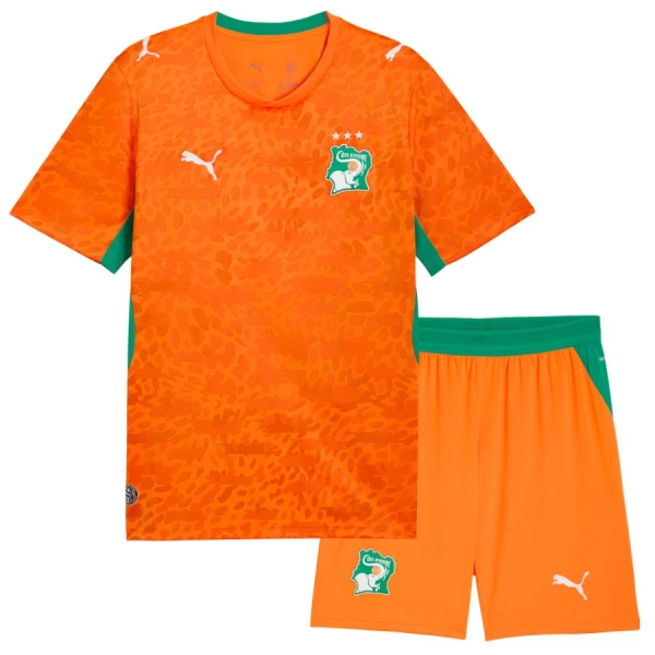 Camisolas Costa do Marfim Criança Equipamento Principal Mundial 2026 Camisolas Costa do Marfim Criança Equipamento Principal Mundial 2026
