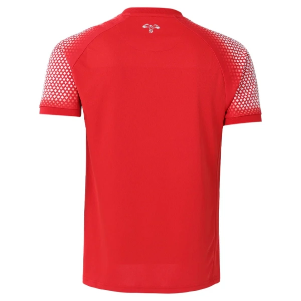 Camisolas Equipamento Alternativo Jordan Mundial 2026