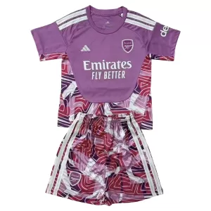 Camisolas Guarda Redes Arsenal Criança 26/27 Tolet