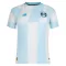 Camisolas Grêmio FBPA Equipamento Alternativo 26/27