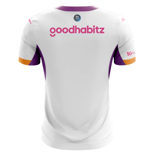 Camisolas PSV Eindhoven Equipamento Alternativo 26/27