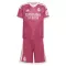 Camisolas Real Madrid Criança Equipamento Terceiro 26/27