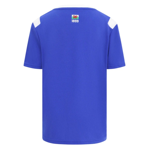 Camisolas Cardiff City Equipamento Principal 26/27