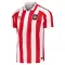 Camisolas Sunderland Equipamento Principal 26/27