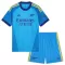 Camisolas Guarda Redes Arsenal Criança Equipamento Alternativo 26/27