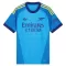 Camisolas Guarda Redes Arsenal Equipamento Alternativo 26/27