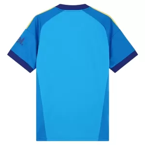 Camisolas Guarda Redes Arsenal Equipamento Alternativo 26/27