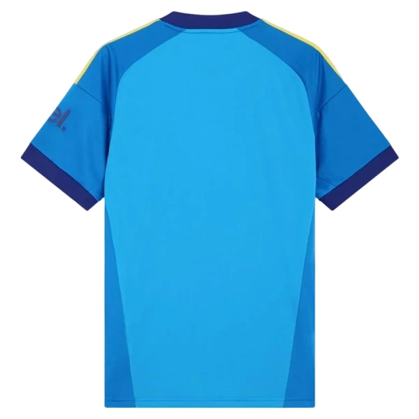 Camisolas Guarda Redes Arsenal Equipamento Alternativo 26/27