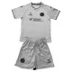 Camisolas Bristol City Criança Equipamento Alternativo 26/27
